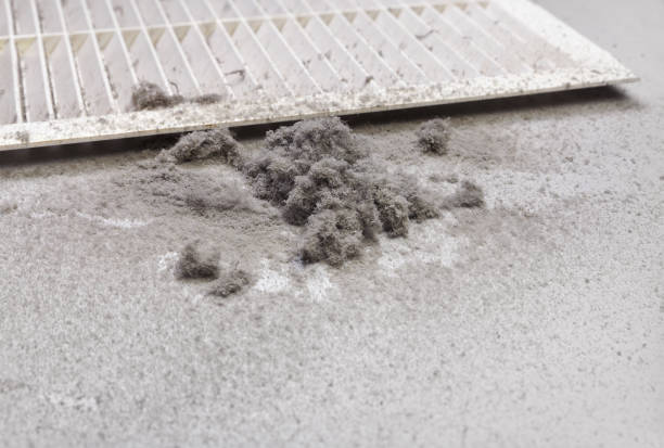 Best Affordable Duct Cleaning Services  in Newmanstown, PA