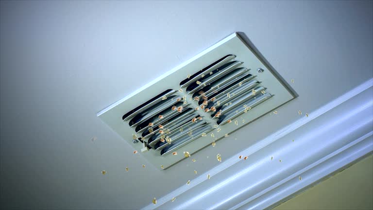 Best Affordable Duct Cleaning Services  in Newmanstown, PA