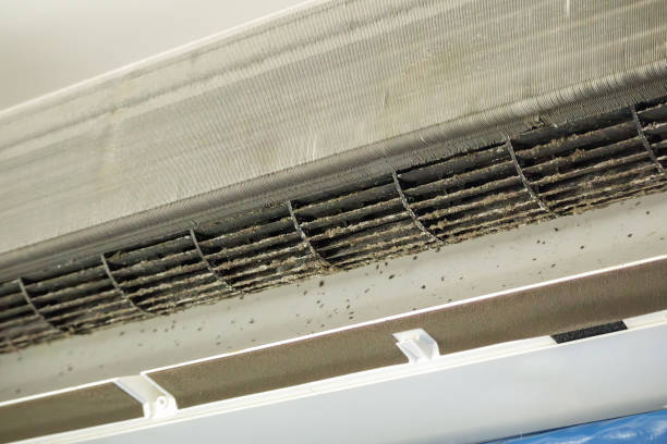 Best Best Air Duct Cleaning Company  in Newmanstown, PA