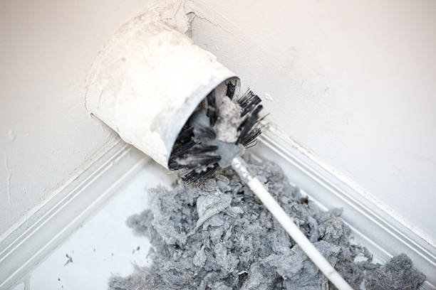 Best HVAC System Cleaning  in Newmanstown, PA